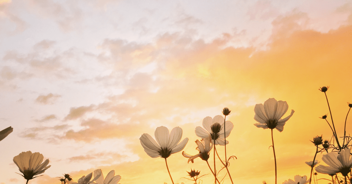 Spring, rejuvenation in the grieving process